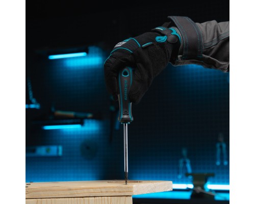 Набор инструментов, 1/4", 1/2", CrV, 120 зубьев, 76 предметов Gross Набор инструментов, 1/4", 1/2", CrV, 120 зубьев, 76 предметов Gross