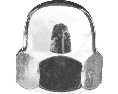 ЗУБР DIN 1587, M6, цинк, 5 кг, колпачковая гайка (303680-06) ЗУБР DIN 1587, M6, цинк, 5 кг, колпачковая гайка (303680-06)