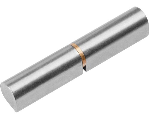 STAYER 80 х 13 мм, гаражная петля (37615-80) STAYER 80 х 13 мм, гаражная петля (37615-80)