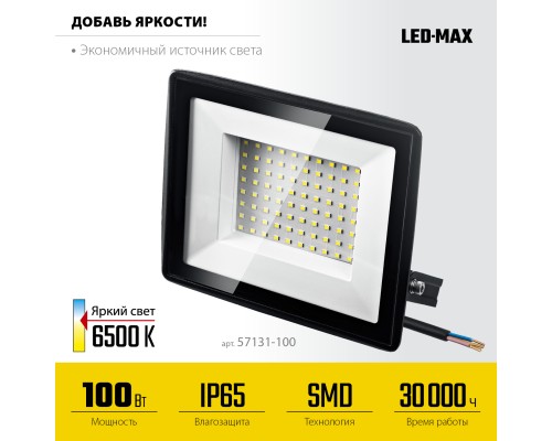 STAYER LED-MAX, 100 Вт, 6500K, IP 65, светодиодный прожектор (57131-100)