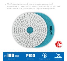 ЗУБР 100 мм, №100, мокрое шлифование, алмазный гибкий шлифовальный круг АГШК, Профессионал (29866-100)
